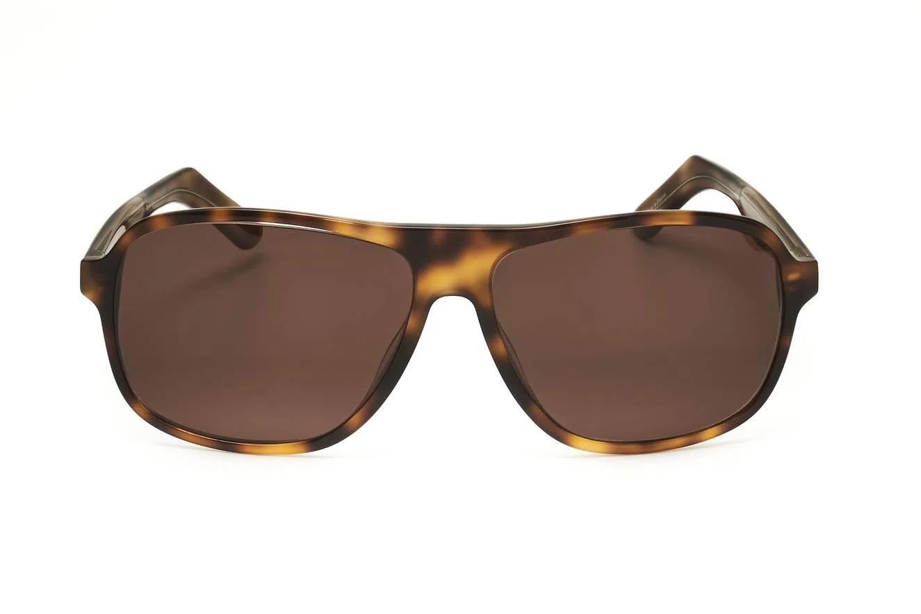 Sandro SDS1001F Sunglasses